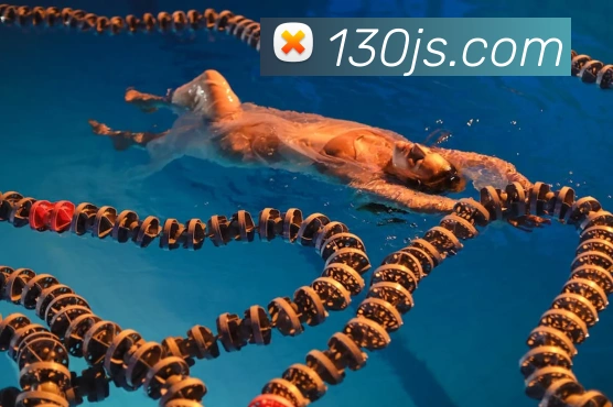 App 展示图